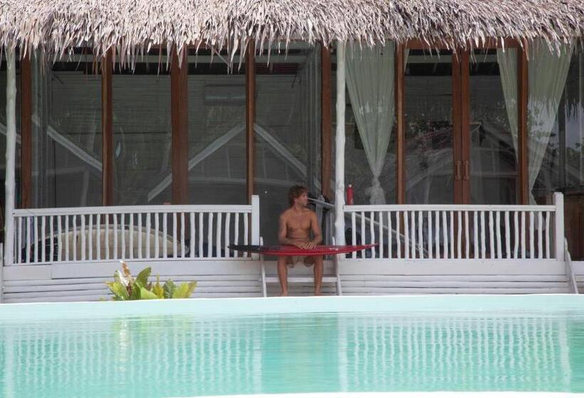 استراحتگاه La Belle Hollow Trees