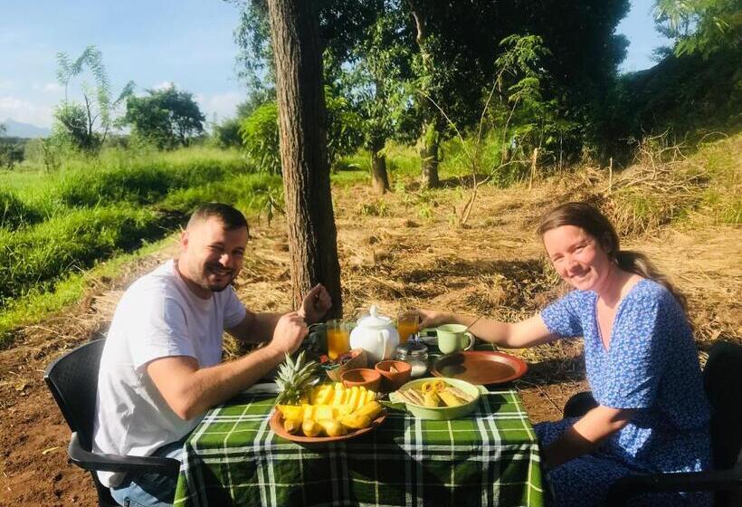 リゾートホテル The Wild Culture