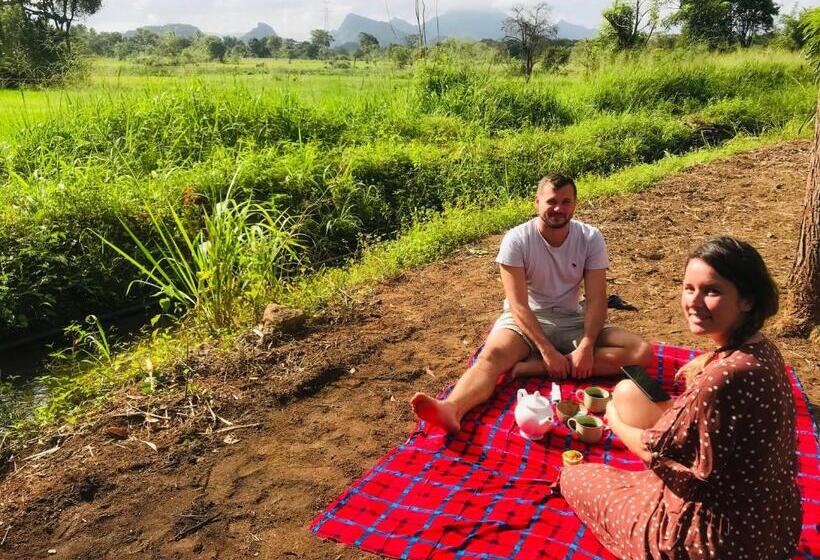 リゾートホテル The Wild Culture