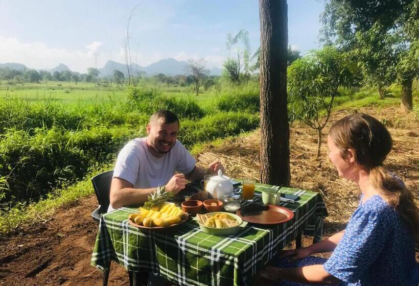 リゾートホテル The Wild Culture