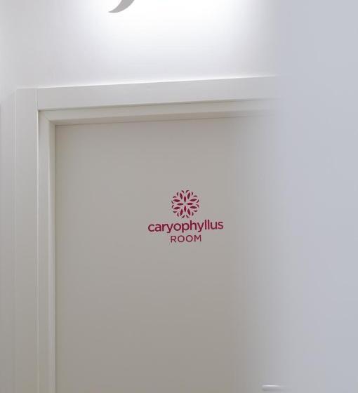 Room In Bloom Bed And Breakfast