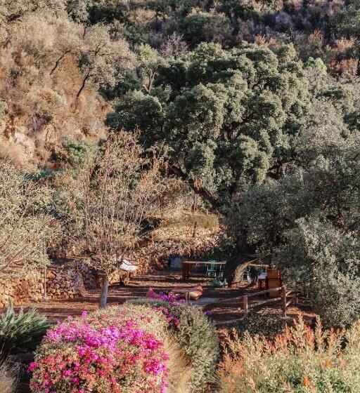 הוסטל All Inclusive Luxurious Coliving La Kookaburra