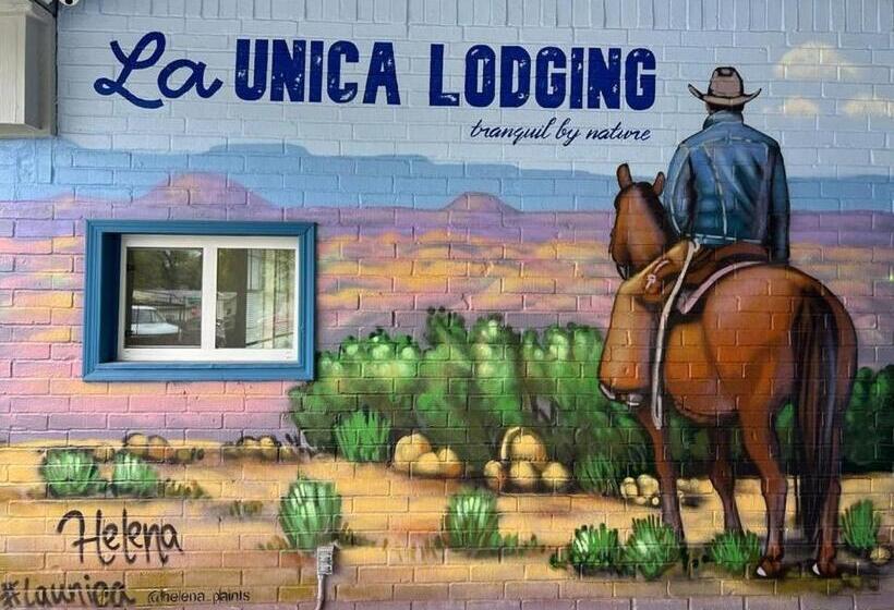 호스텔 La Unica