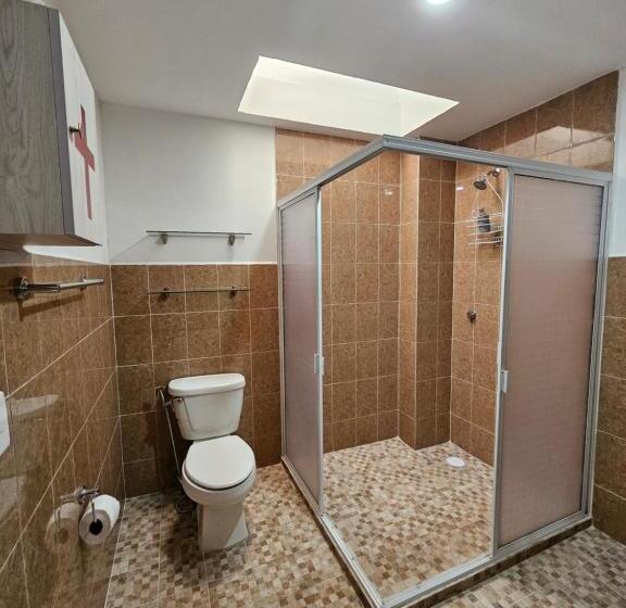 هاستل Sensity Home Recamara Amplia Y Luminosa