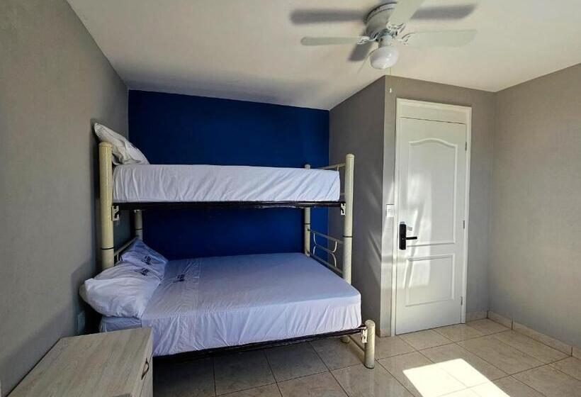 هاستل Sensity Home Recamara Amplia Y Luminosa