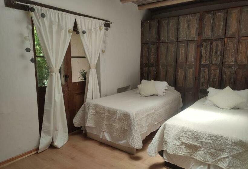 צימר Alojamiento Tranquilo Con Hermoso Jardín, Cercano A Viña Concha Y Toro