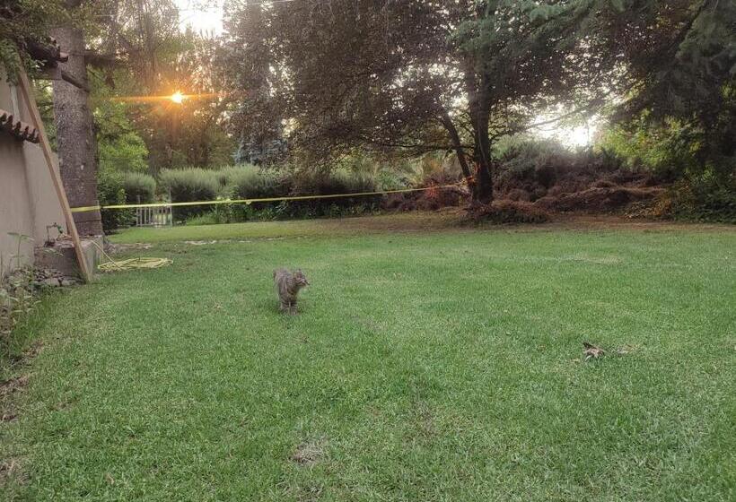 צימר Alojamiento Tranquilo Con Hermoso Jardín, Cercano A Viña Concha Y Toro