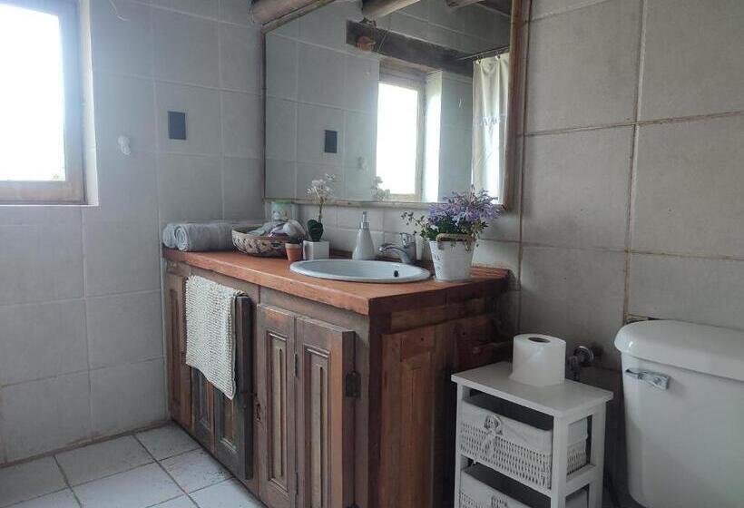 צימר Alojamiento Tranquilo Con Hermoso Jardín, Cercano A Viña Concha Y Toro