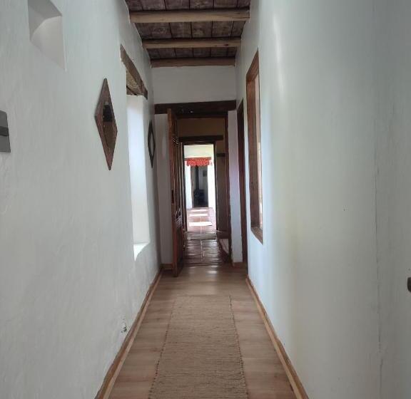 צימר Alojamiento Tranquilo Con Hermoso Jardín, Cercano A Viña Concha Y Toro