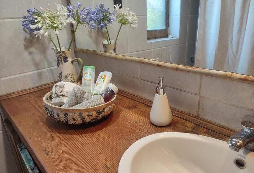 צימר Alojamiento Tranquilo Con Hermoso Jardín, Cercano A Viña Concha Y Toro