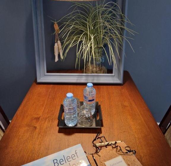 مبيت وإفطار De Wiedenweide