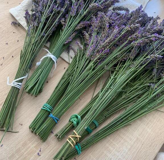 مبيت وإفطار La Bastide Val De Siagne