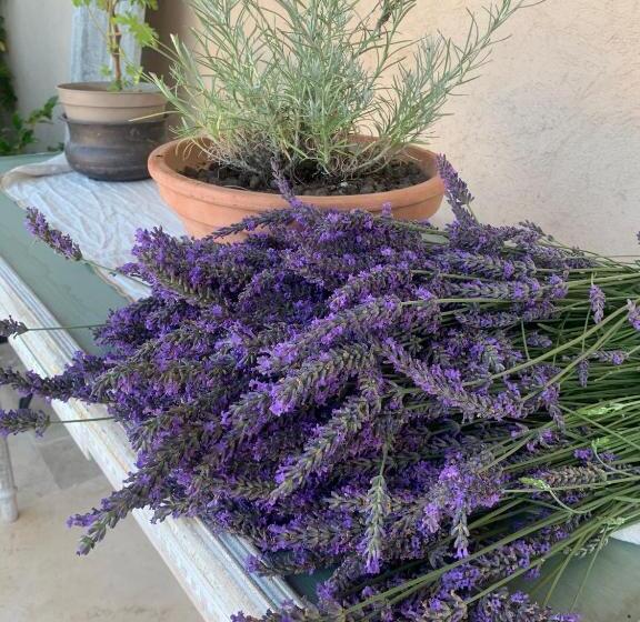 مبيت وإفطار La Bastide Val De Siagne