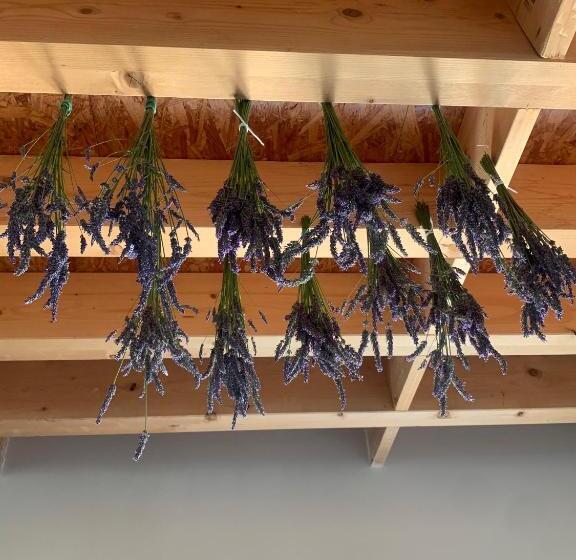 مبيت وإفطار La Bastide Val De Siagne