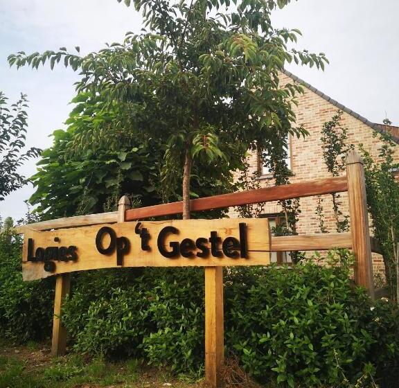 مبيت وإفطار Logies Op  T Gestel