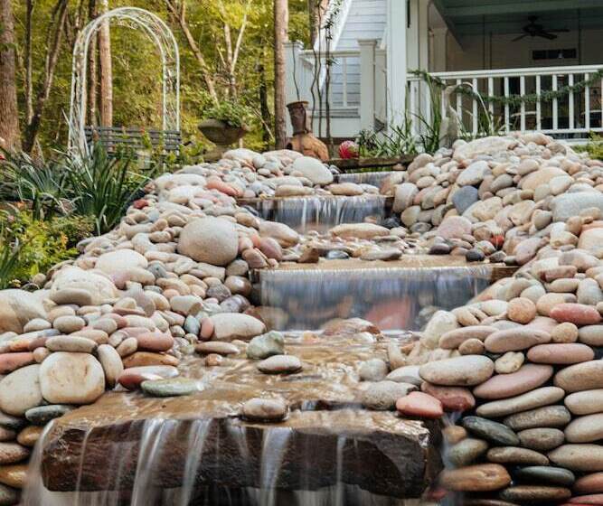 مبيت وإفطار The Bird & Butterfly Inn