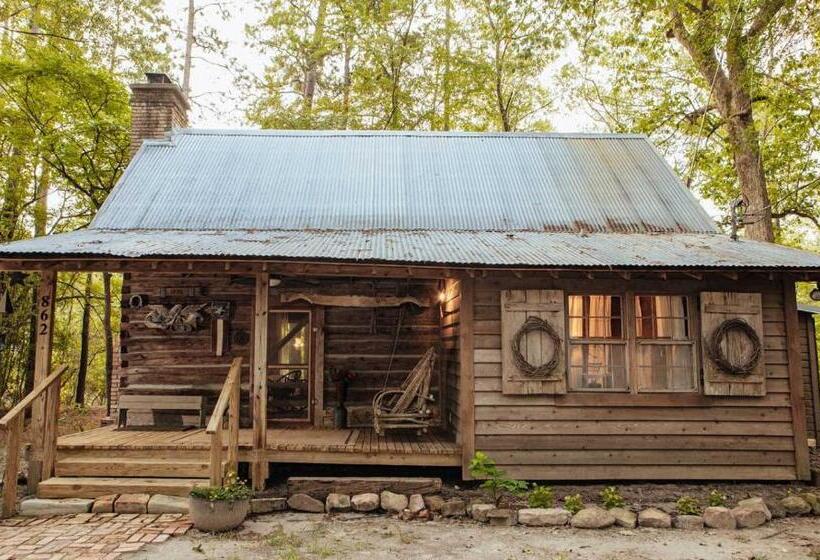 مبيت وإفطار The Bird & Butterfly Inn