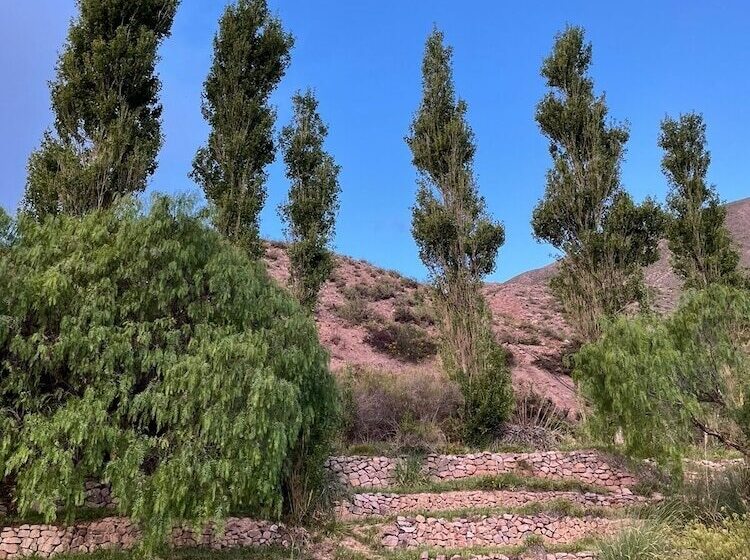 Casacalma Hotel Boutique