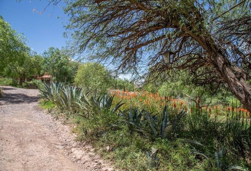 Casacalma Hotel Boutique