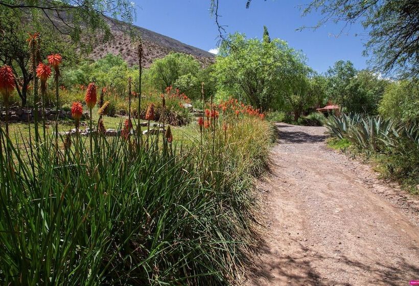 Casacalma Hotel Boutique