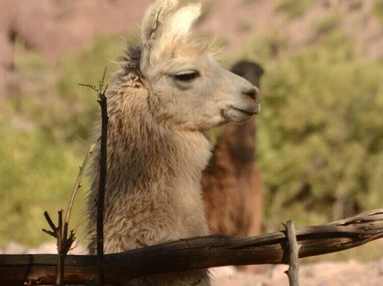 Casacalma Hotel Boutique