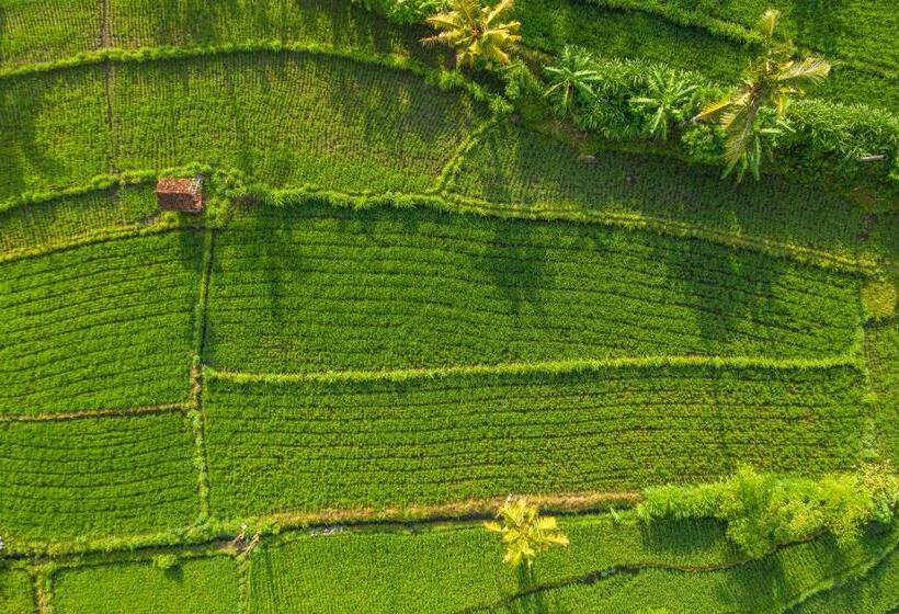 East Bali Volcano View Resort & Spa   Adults Only Area