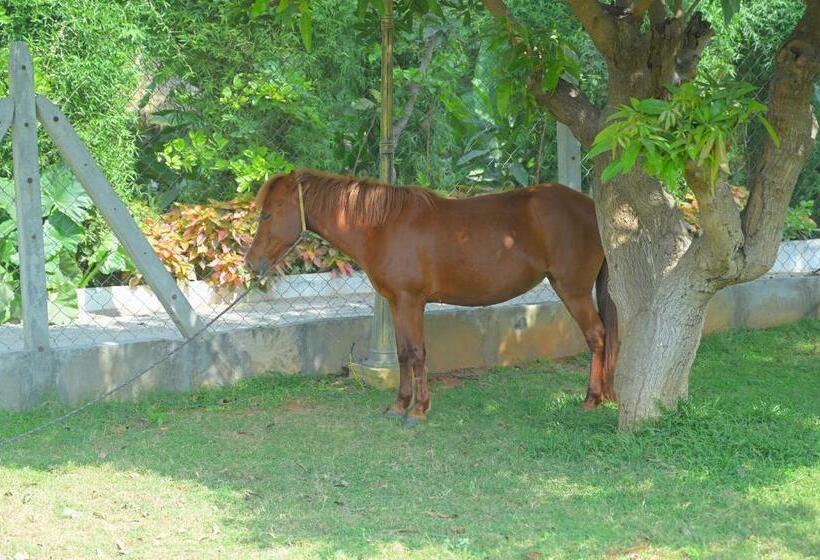 Farm Stay Resort   Shamirpet, Hyderabad