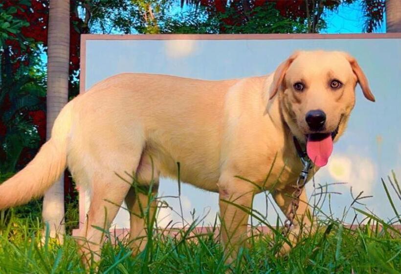 Farm Stay Resort   Shamirpet, Hyderabad