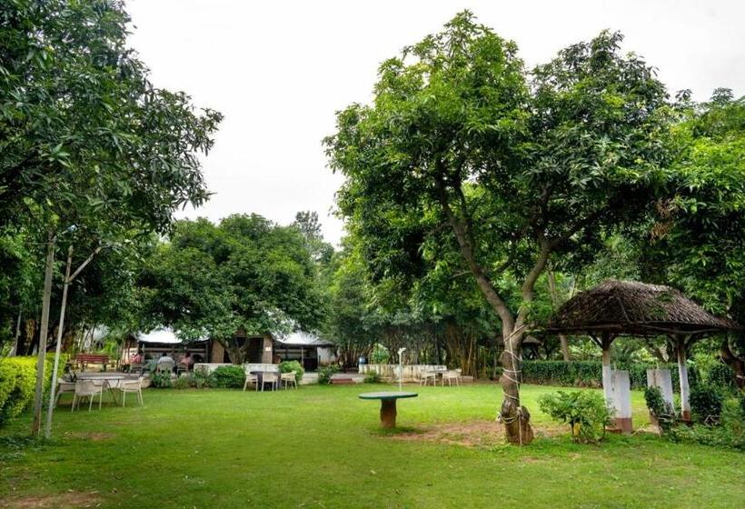 Farm Stay Resort   Shamirpet, Hyderabad