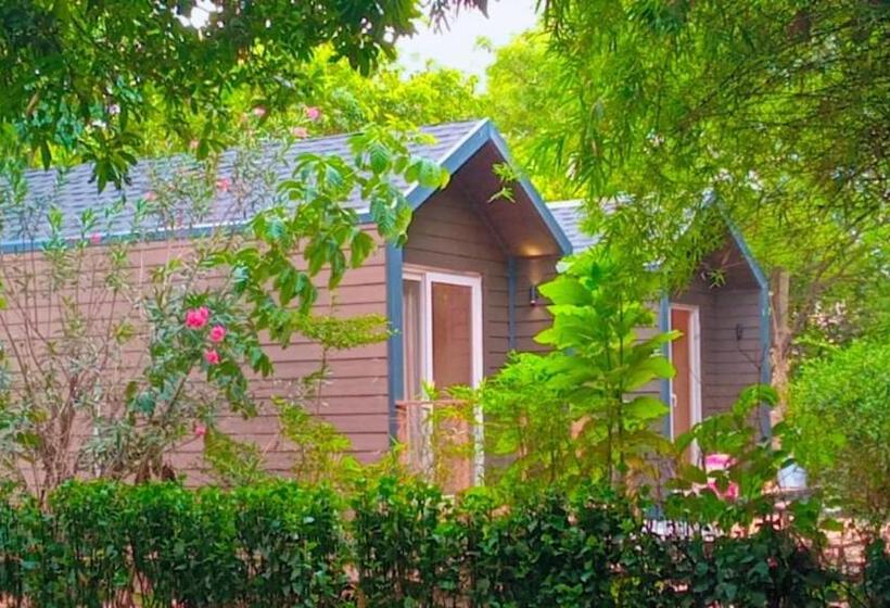 Farm Stay Resort   Shamirpet, Hyderabad