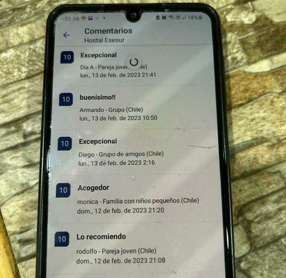 Hostal Esesur