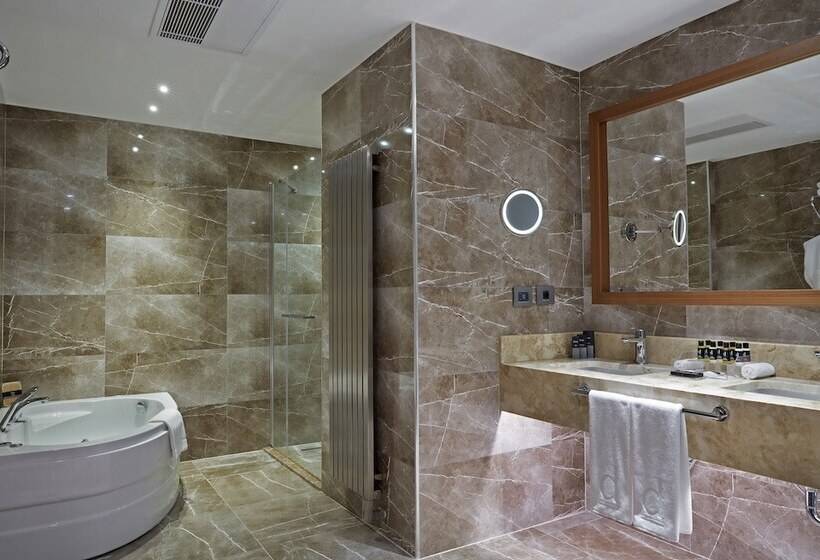 酒店 Dedeman Kayseri