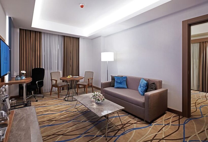 酒店 Dedeman Kayseri