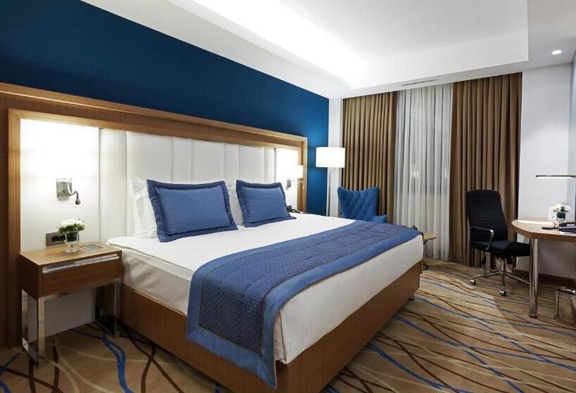 酒店 Dedeman Kayseri