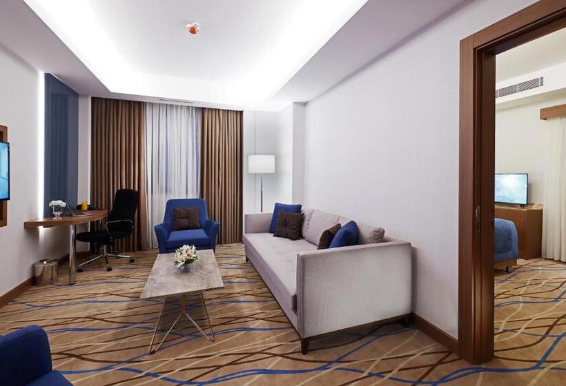 酒店 Dedeman Kayseri