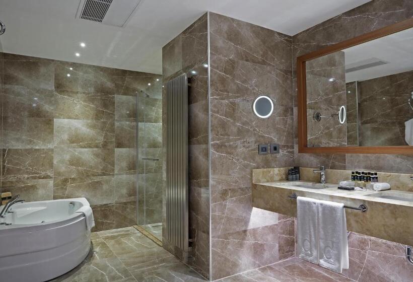 酒店 Dedeman Kayseri