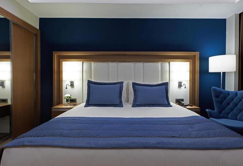 酒店 Dedeman Kayseri