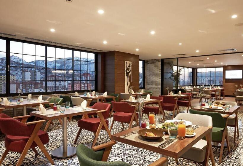 酒店 Dedeman Kayseri