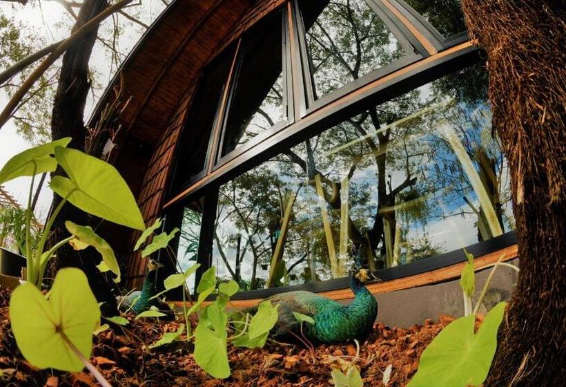 호텔 Kenaray Farmstay Riverside