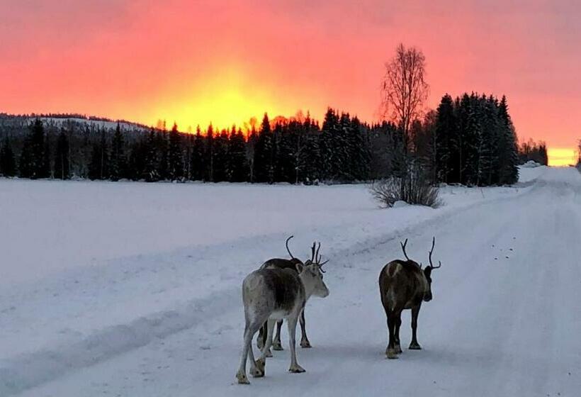 ホテル Kätkä Lake Lodge