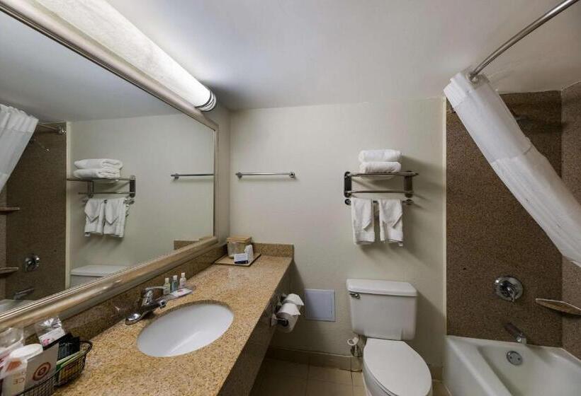 فندق Suburban Studios