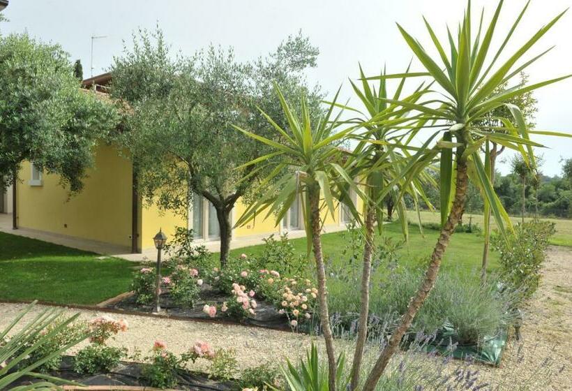 Paradiso Degli Ulivi B&b