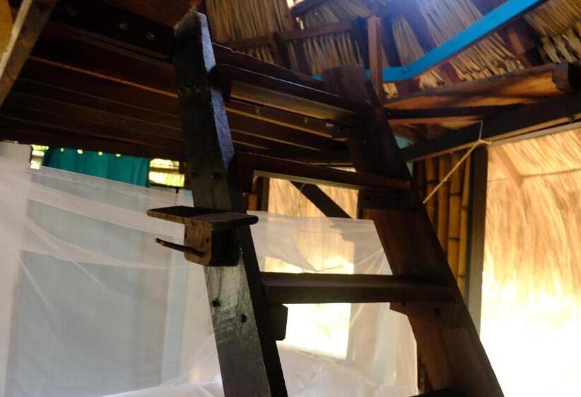 膳宿费 Auroa Palomino