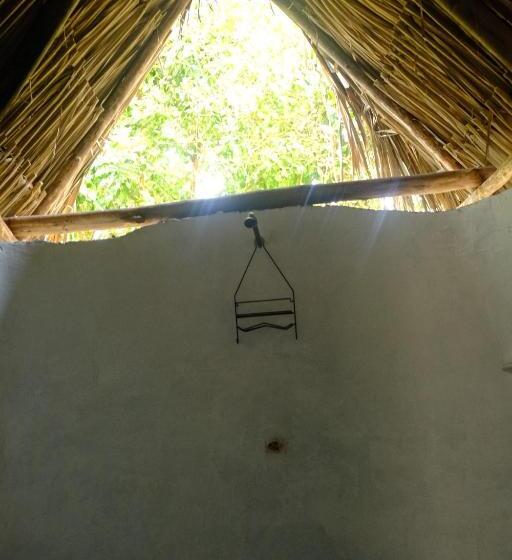 膳宿费 Auroa Palomino