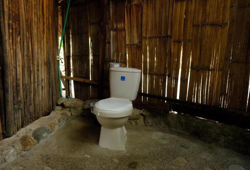 膳宿费 Auroa Palomino