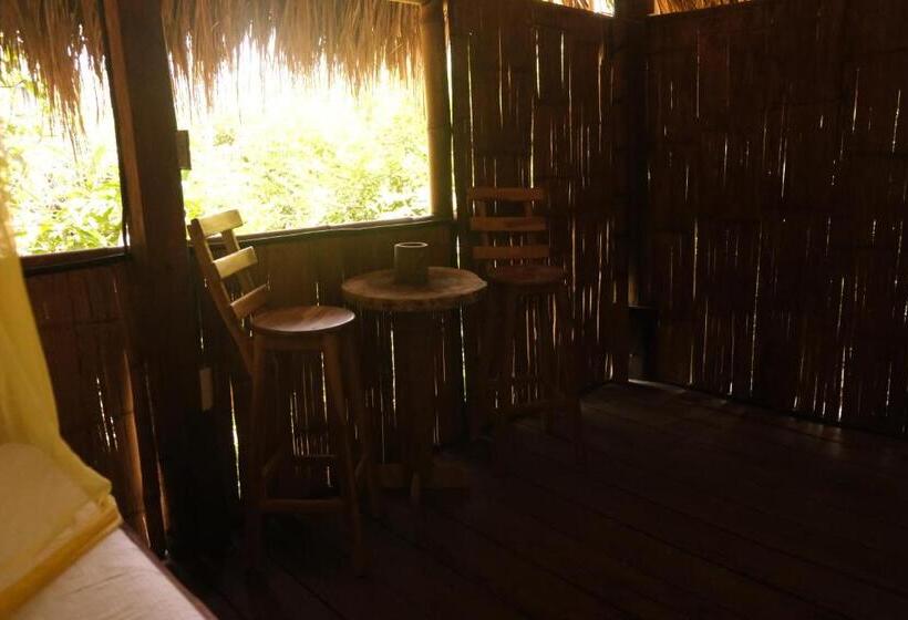 膳宿费 Auroa Palomino