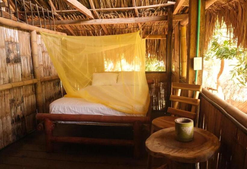 膳宿费 Auroa Palomino