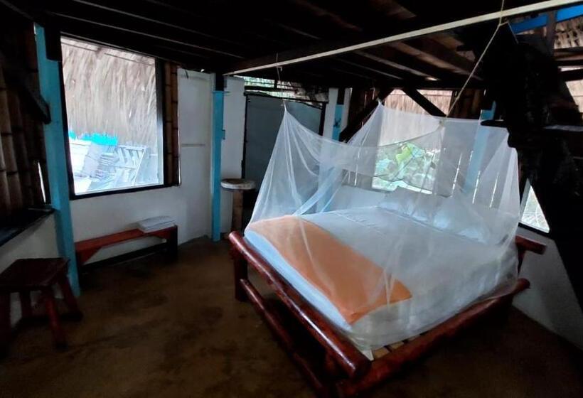 膳宿费 Auroa Palomino