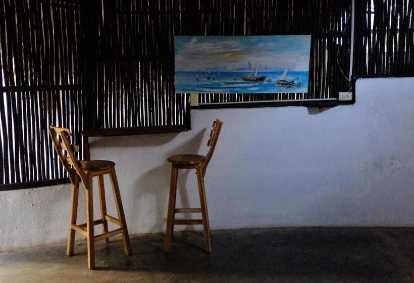 膳宿费 Auroa Palomino