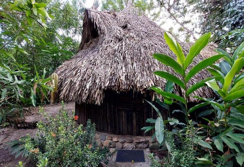 膳宿费 Auroa Palomino